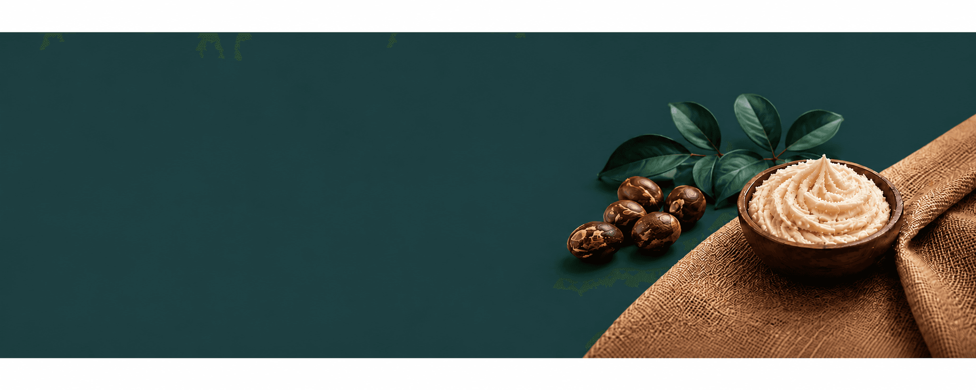 Bowl of whipped shea butter with shea nuts and leaves