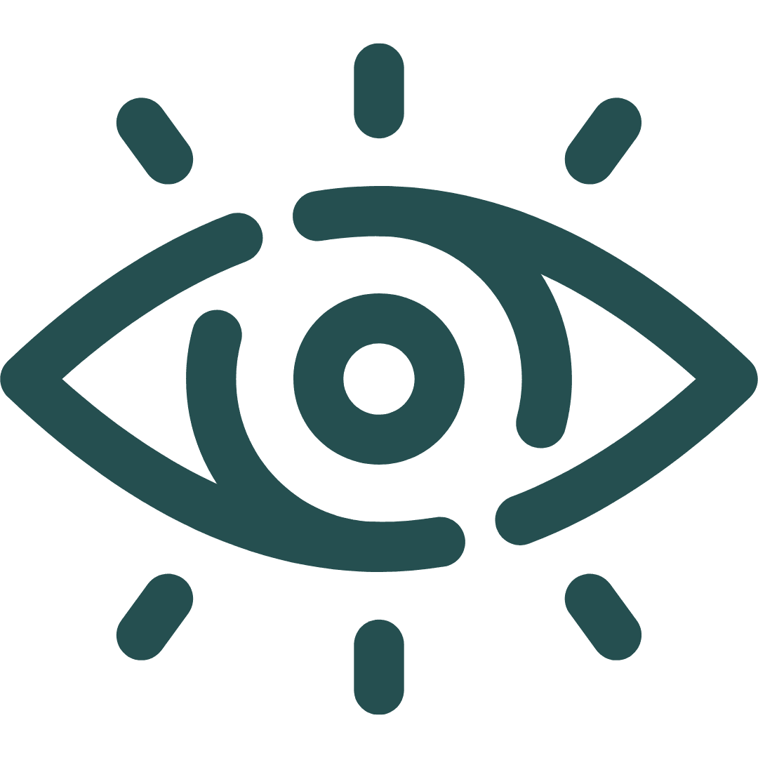 Our Vision icon